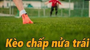 Kèo chấp nửa trái là gì?